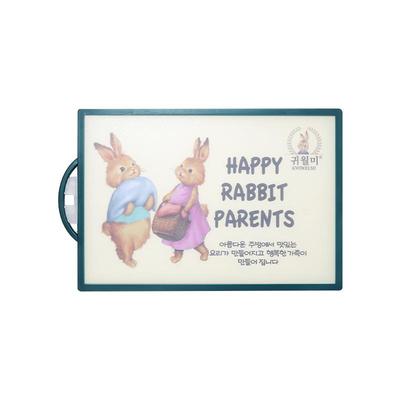 韩国进口切菜板厨房家用双面粘板