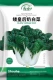 Карликовая Queen's Milk Capbage Seeds 10G Original