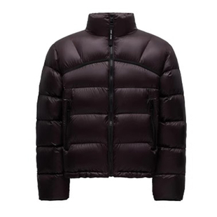 LINCCHIC金羽杰专柜秋季新品轻薄短款立领面包羽绒服Y24301083