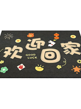 入户门地垫高级感耐磨加厚脚踏垫