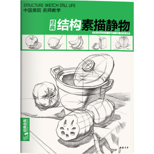 经典全集 【大开本】结构素描静物临摹书籍单体组合绘画大关系透视美术基础技法正版 杨建飞主编