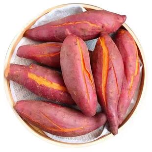 河南黄心板栗蜜薯新鲜现挖红薯沙地蜜薯软糯香甜蜜薯新鲜采摘番薯