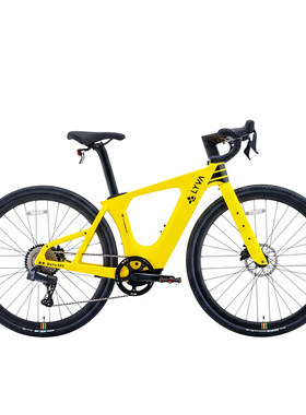 绿源LYVA电助力自行车G02碳纤维智能电动助力自行车助力车ebike