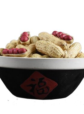 红皮花生米生新货生花生带壳新鲜