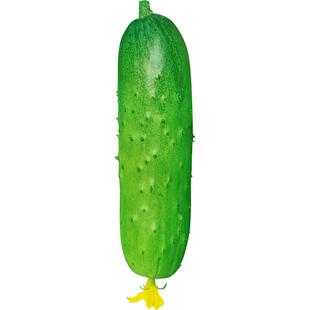 水果黄瓜种子籽春秋冬季小黄瓜旱黄瓜苗四季阳台盆栽庭院蔬菜种孑