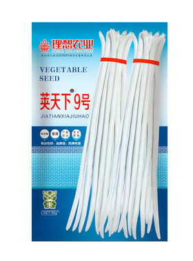 白豇豆种子豆角春夏秋季蔬菜种籽白豆角无筋种籽高产理想荚天下
