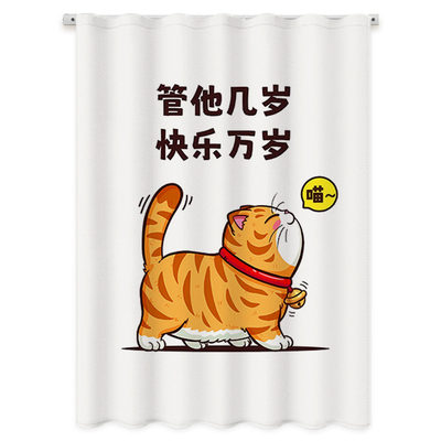 浴室卫生间防水窗帘免打孔安装