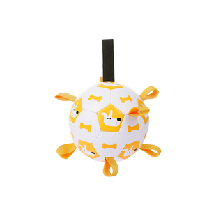 狗狗玩具足球耐咬户外玩耍解闷神器柯基柴犬边牧训练专用玩具狗球