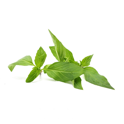 新鲜 九层塔 金不换150g 西餐厅东南亚料理酒店台湾三杯鸡香料