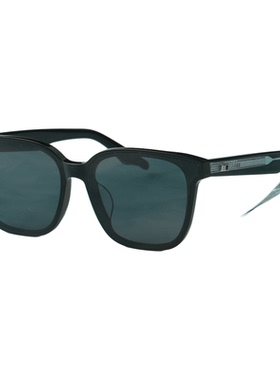 帕莎黑色墨镜女高级感PS3072