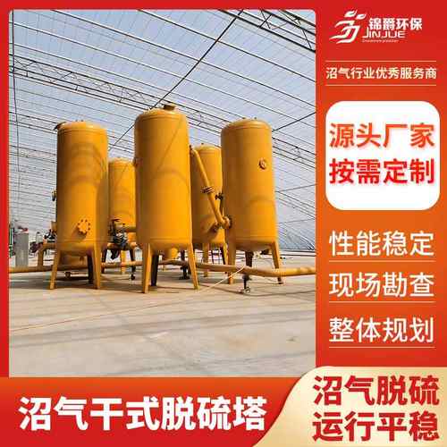 沼气脱硫塔干式脱硫罐 脱水脱硫设备 沼气工程硫化氢脱除全套设备