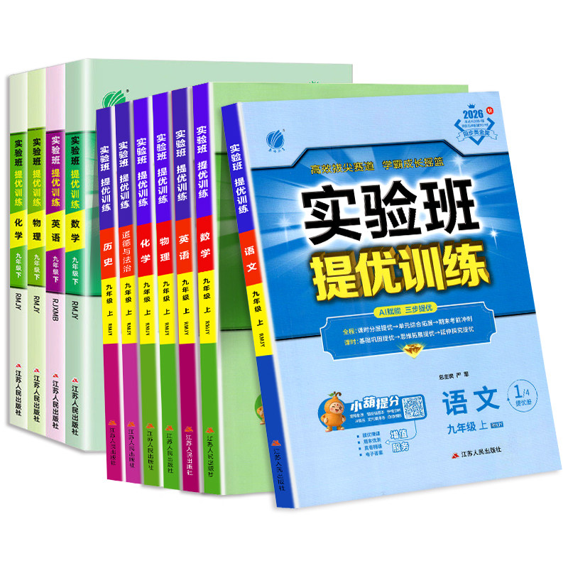 初中实验班提优训练人教版