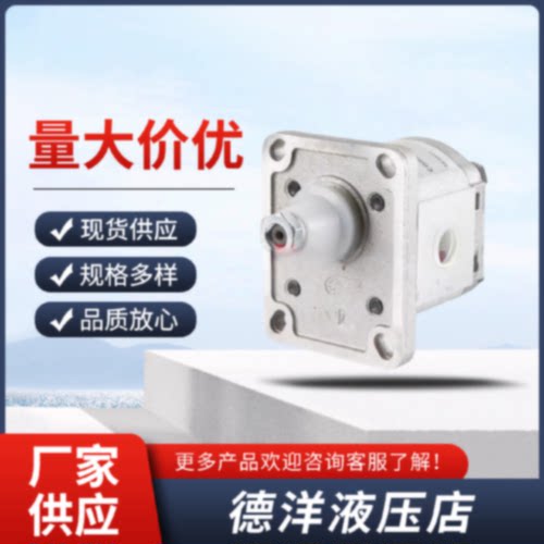 询凯斯帕CASAPPA齿轮泵PLP10.5SD29E7PLP20.4D082E2PLP30油泵