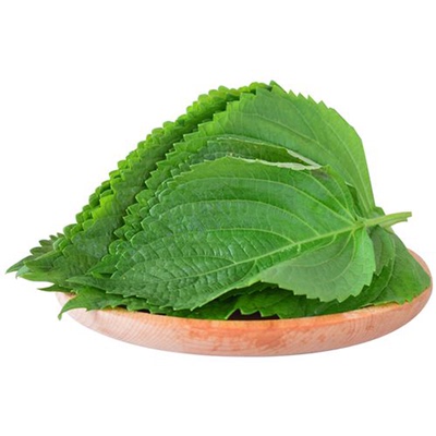 苏子叶新鲜现摘紫苏叶烤肉食材