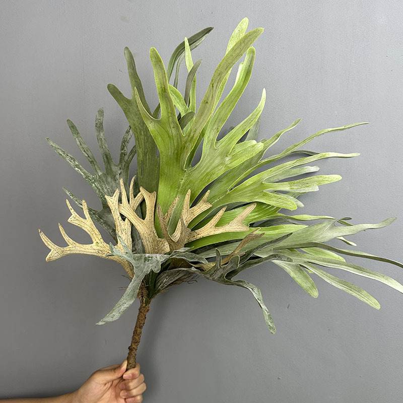 11鹿角叶高仿蕨类植物排蕨类叶草草墙植物软胶波斯植物蕨草波斯蕨