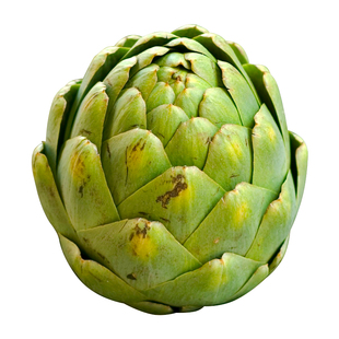 美国进口绿朝鲜蓟种子紫洋蓟种籽法国百合蔬菜孑菊春播秋冬季盆栽