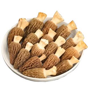 云南鲜菌羊肚菌新鲜野生菌特级特产正宗大菇非干货食材官方旗舰店