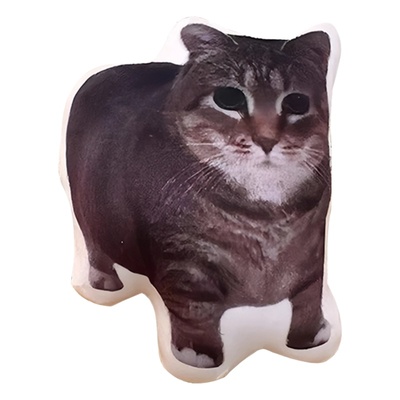 语音发声玩偶家族猫meme挂件