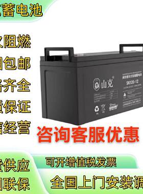 SHANKE山克蓄电池SK12V10024384065120150AH机房直流屏专用