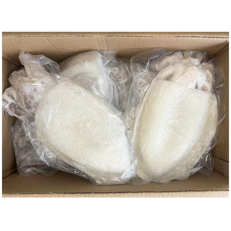 福熙泰冷冻高品质墨鱼商用12斤