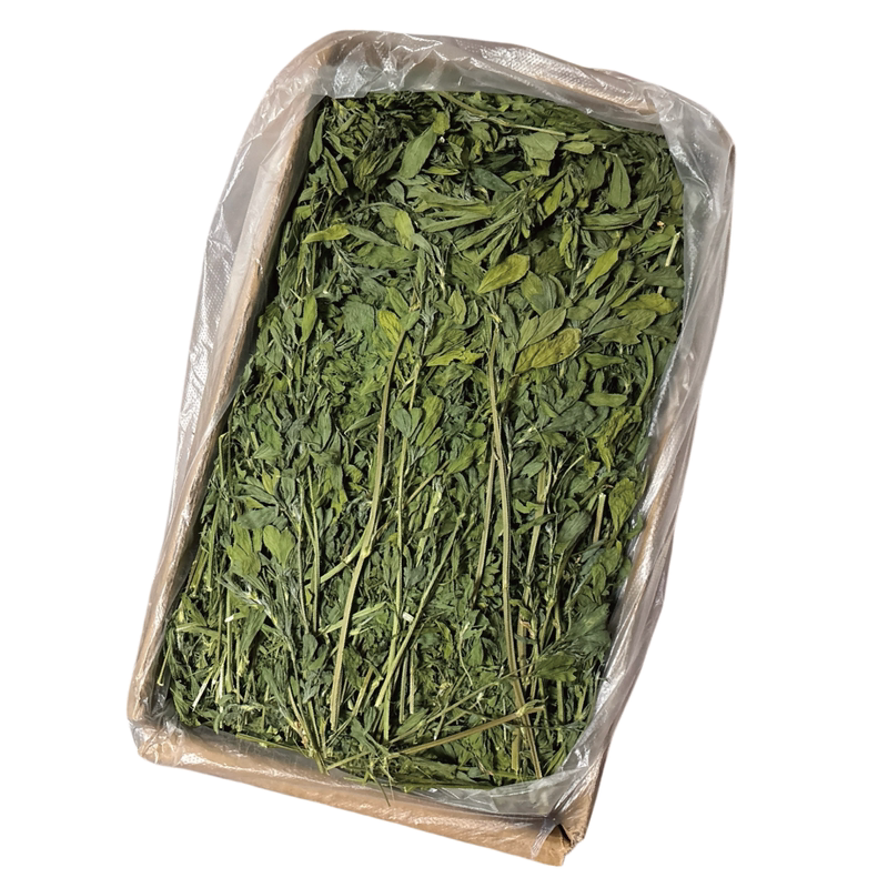 品质看得见精选苜蓿烘干发腮草