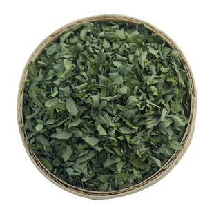 鸡骨草叶新鲜干货正品中药材鸡骨草叶子泡茶广西相思叶茶500g散装