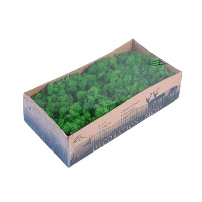 diy植物墙仿真景观干花永生苔藓