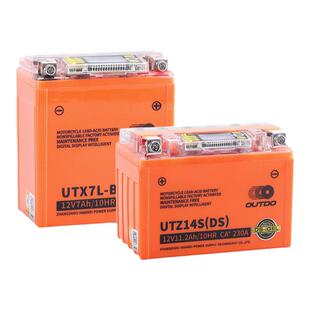 夏杏三阳巡戈150TL500TL508哈士奇飞度3/4/5摩托车电瓶锂电池通用