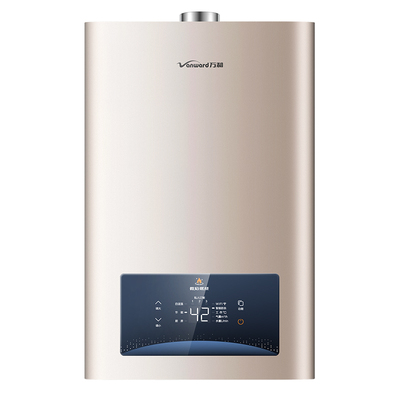 平衡式可装浴室厨房12升热水器