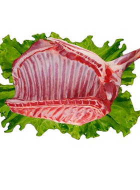 宁羴源宁夏滩羊现宰新鲜羊前腿带排6斤生羊排腿骨肉烧烤清炖