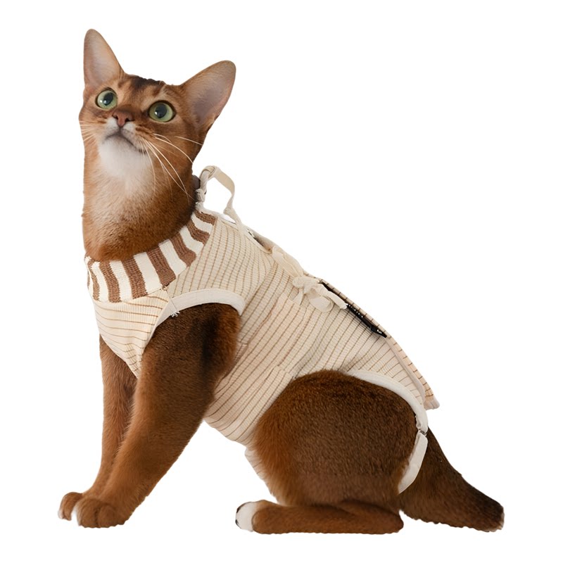 HiDREAM猫咪绝育手术服母猫断奶