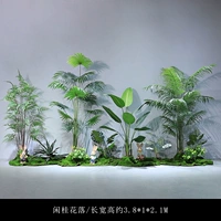 Неспособности Османтус