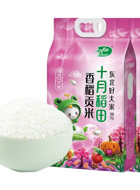 十月稻田香稻贡米5kg*2袋东北香粳米大米20斤家用真空装正品保障