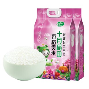 25年新米十月稻田香稻贡米5kg*2袋东北香粳米大米20斤家用真空装