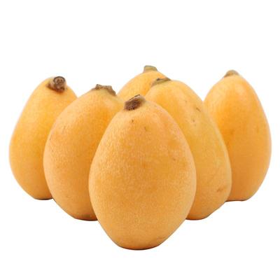 【顺丰次日达】现摘蒙自甜枇杷