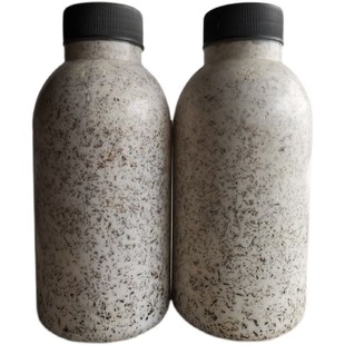 平菇二级种原种榆黄灵芝木耳 香菇 食用菌菌种 活性强 优质种子