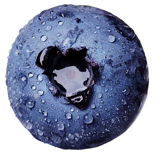 空运云南高山花香蓝莓新鲜水果产地直发花香浓郁脆甜多汁一颗蓝莓