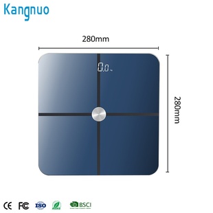 APP蓝牙智能体脂称测家用脂秤工厂VA外贸秤脂定制体重电子体彩屏