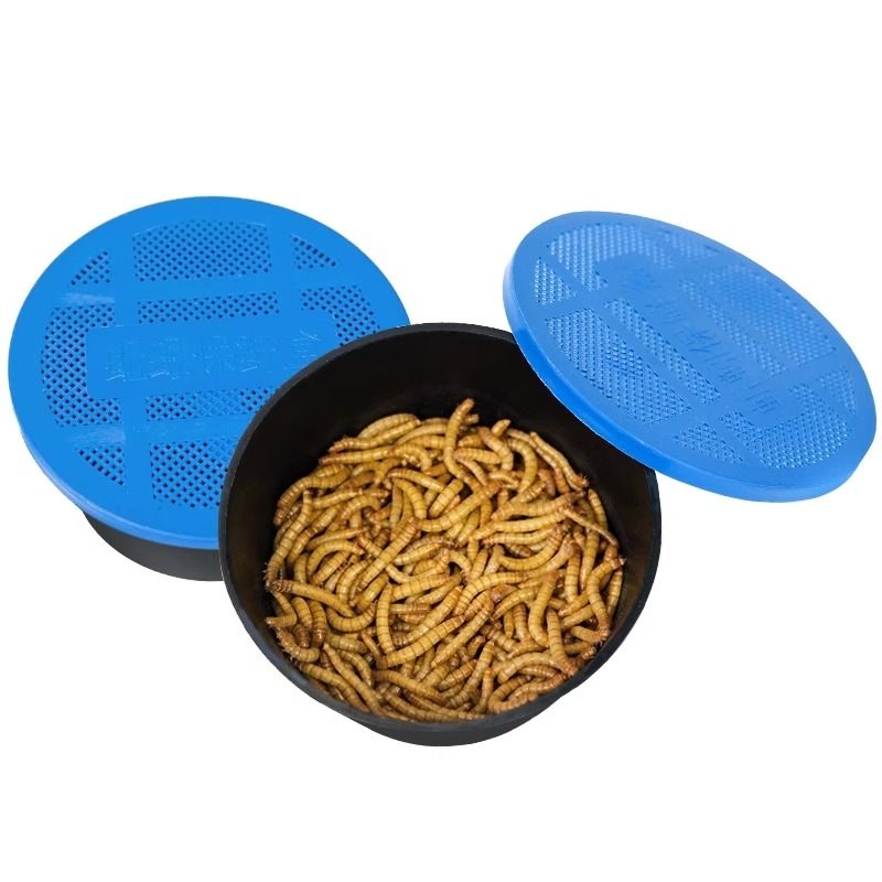 活体面包虫小宠食物透气盒装发货