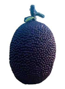 丰收节互动标志大型仿真杨梅玻璃钢雕塑乡村水果大门口艺术装饰品