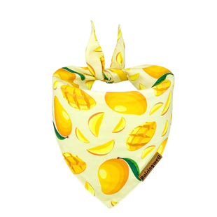 Raisingwell宠物围巾时尚装扮猫狗三角巾双面围脖中小型犬口水巾