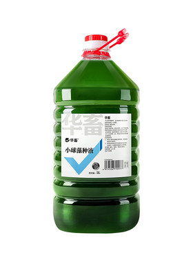 华畜复合小球藻种浓缩肥水培藻