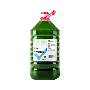 华畜复合小球藻种 浓缩藻种复合藻低温肥水培藻 增氧水产养殖卵囊