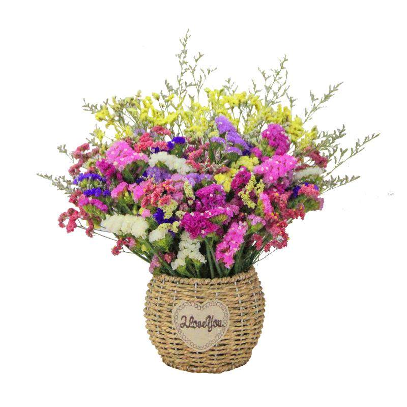 干花花束真花鲜插装饰摆件客厅摆设云南直发天然风干勿忘我满天星