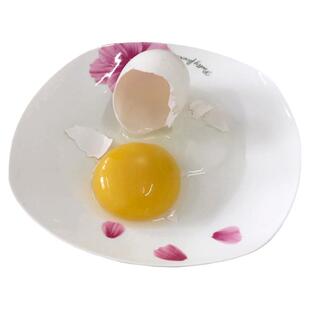 老农家土鹅蛋新鲜禽蛋散养1枚装 生鹅蛋 拍10枚包邮 只喂玉米菜叶