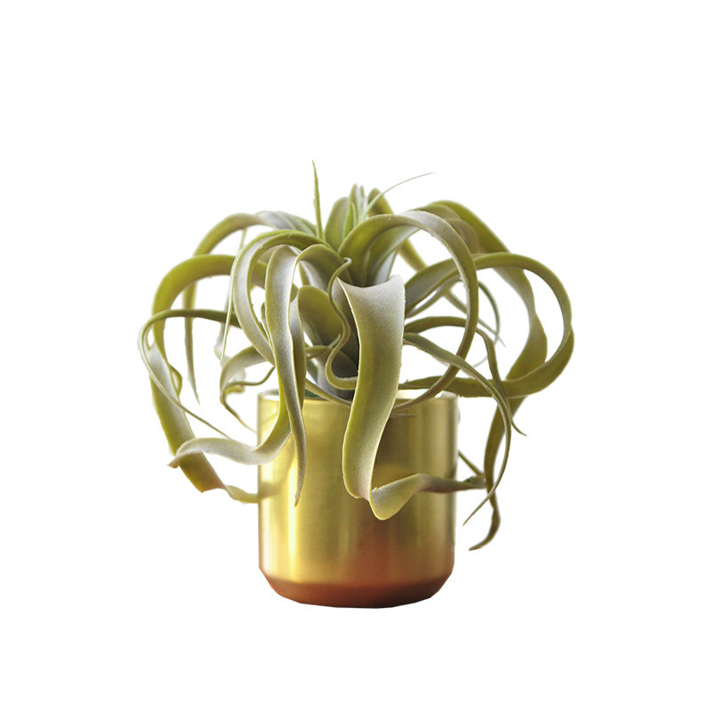 仿真植物盆栽 空气凤梨桌摆花艺装饰 art448