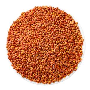 楮实子中药材500g正品野生官方旗舰店褚实子茶新货楮实籽米威灵仙