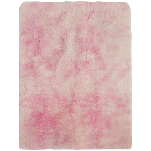 现代轻奢客厅茶几加厚地毯卧室少女心ins风网红房间家用床下全铺