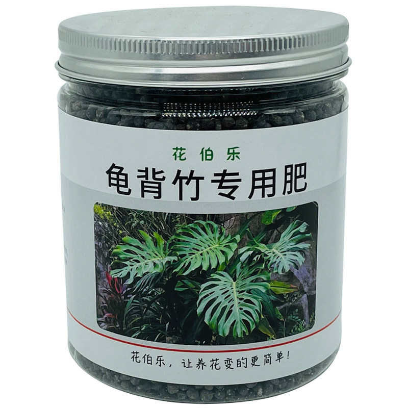 盆栽仙洞龟背竹绿植肥料