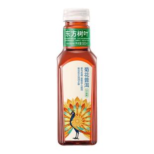 东方树叶新品菊花普洱茶限量上市500ml*15瓶整箱农夫山泉送货上门